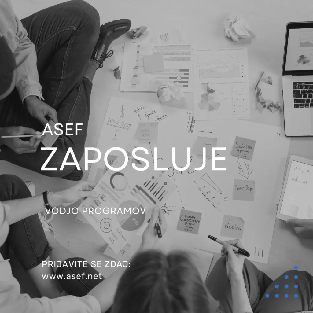 ASEF is looking for a Program Manager